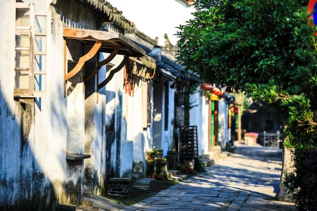 考驾照前必须要问的一些问题,你都问了吗-专业的知识问答网页